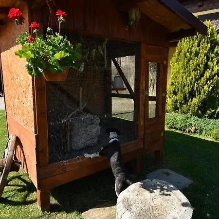 Penzión pre hostí Victoria Liptovsky Jan