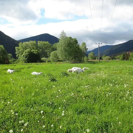 Victoria Penzión pre hostí