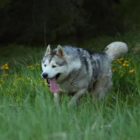 Victoria Penzión pre hostí 2*