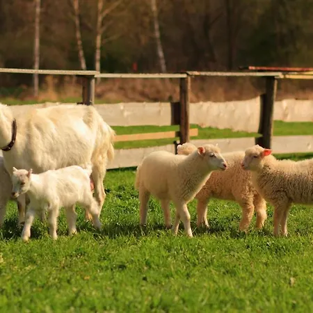 Penzión pre hostí Victoria Liptovsky Jan
