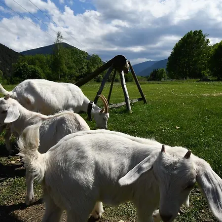 Victoria Penzión pre hostí 2*